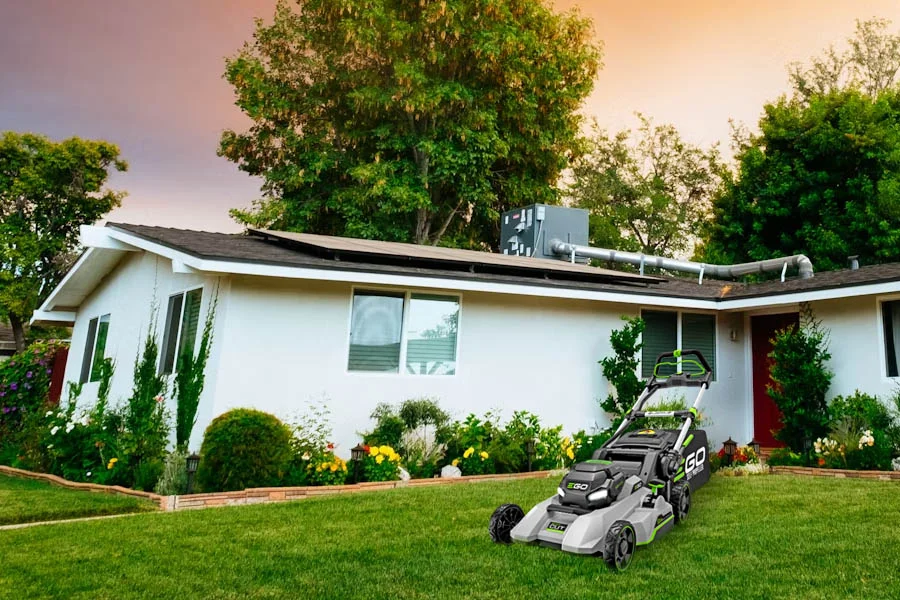 best electric mower for small yard