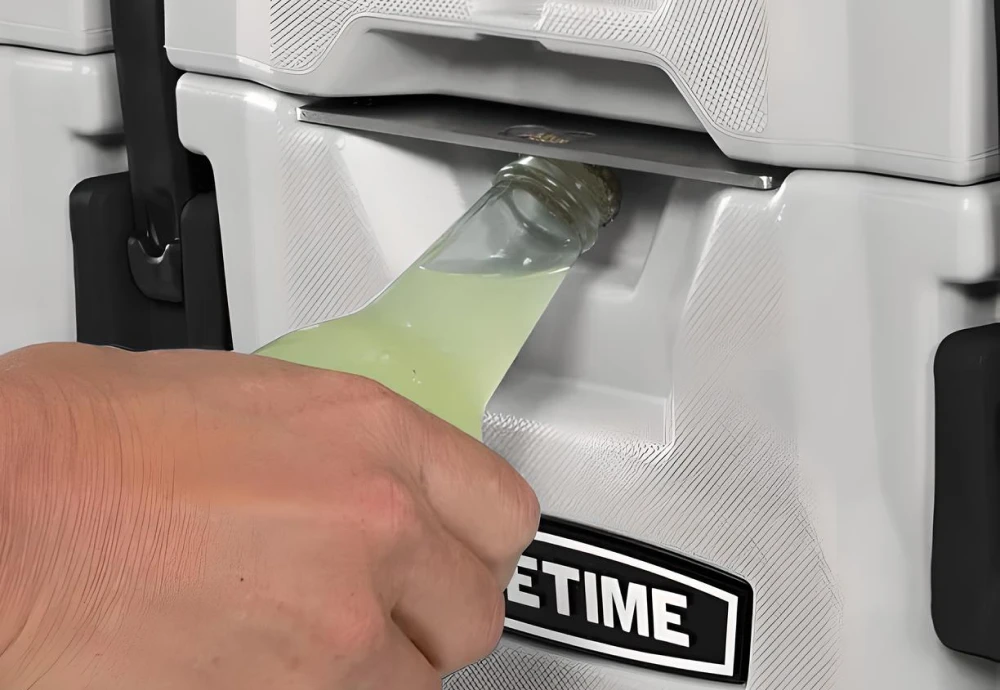 portable ice cream cooler box